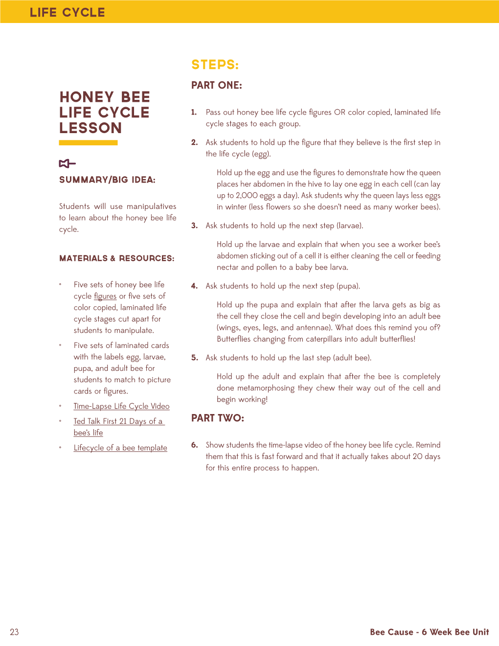 Honey Bee Life Cycle Lesson Standards