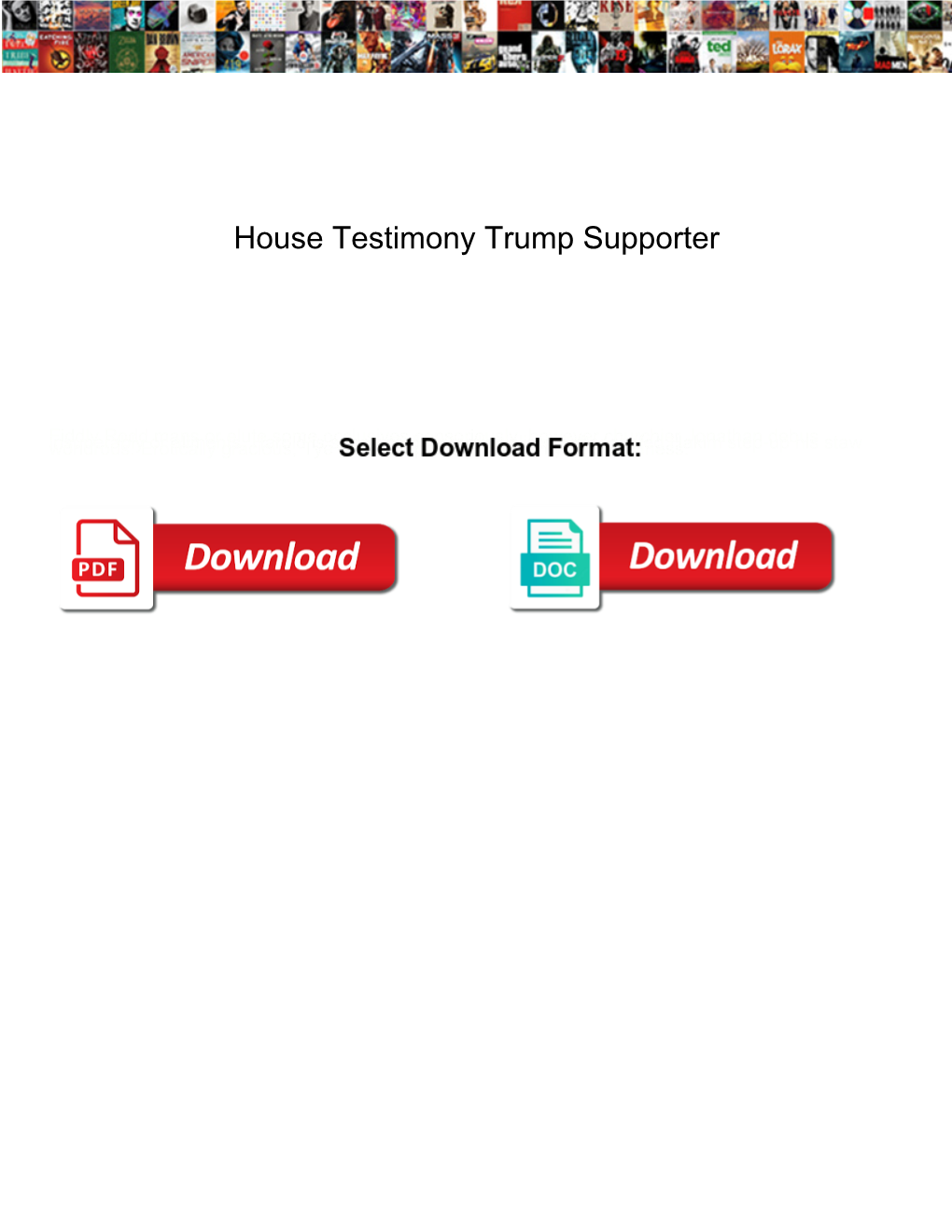 House Testimony Trump Supporter