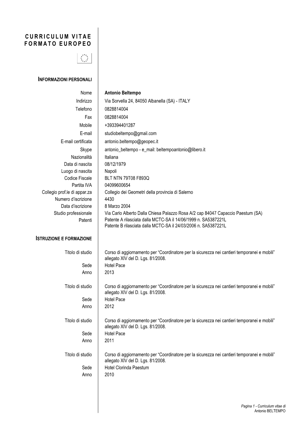 Formato Europeo Per Il Curriculum Vitae