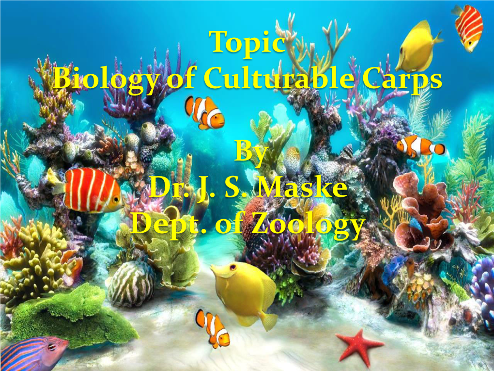 Topic Biology of Culturable Carps by Dr. J. S. Maske Dept. of Zoology