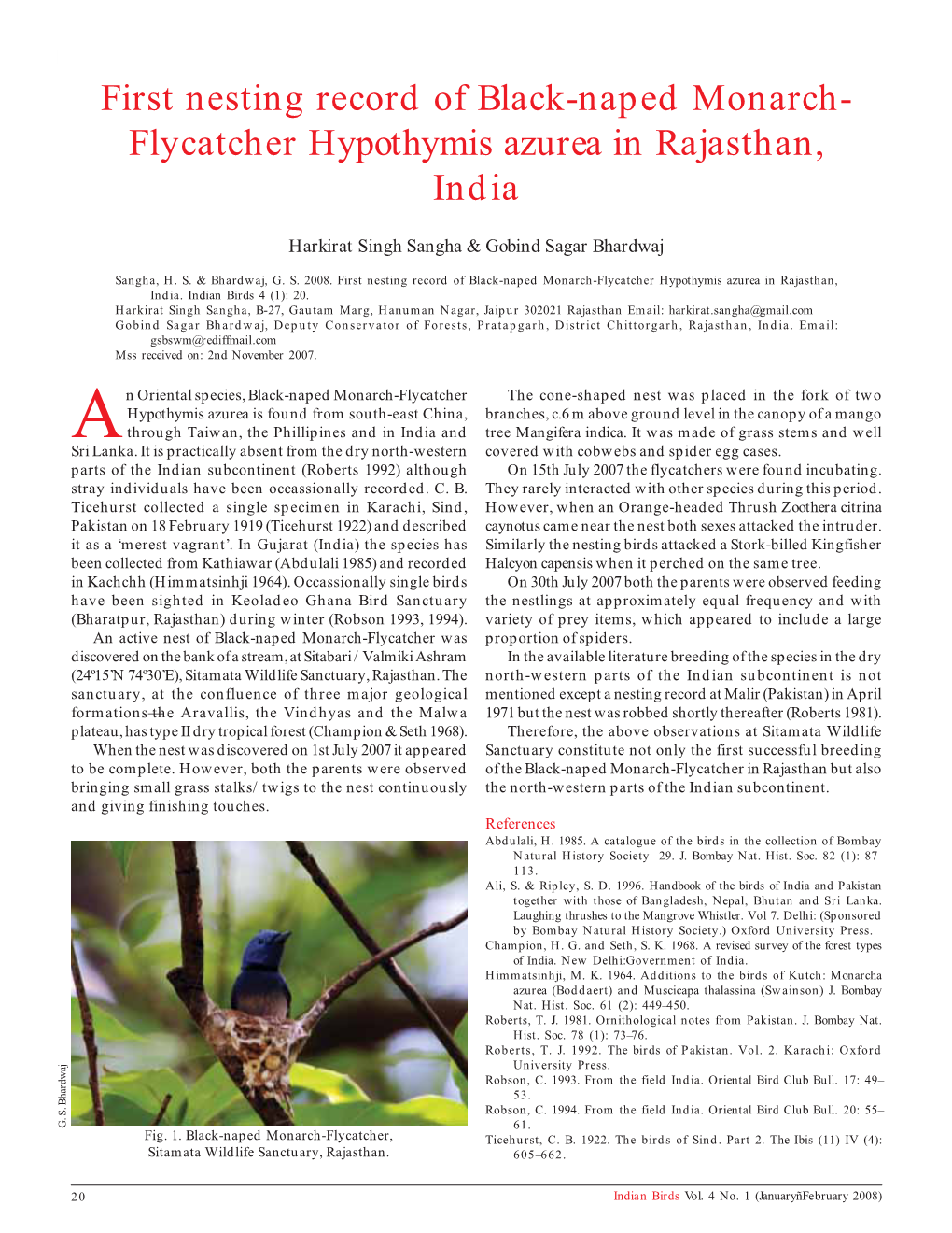 First Nesting Record of Black-Naped Monarch- Flycatcher Hypothymis Azurea in Rajasthan, India