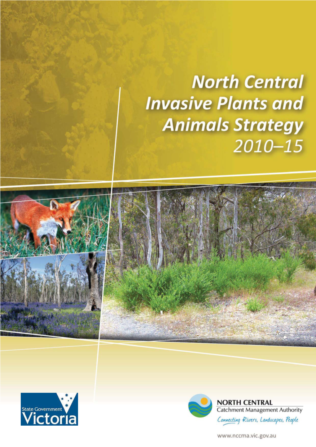 Invasive Plants and Animals Strategy (IPA)