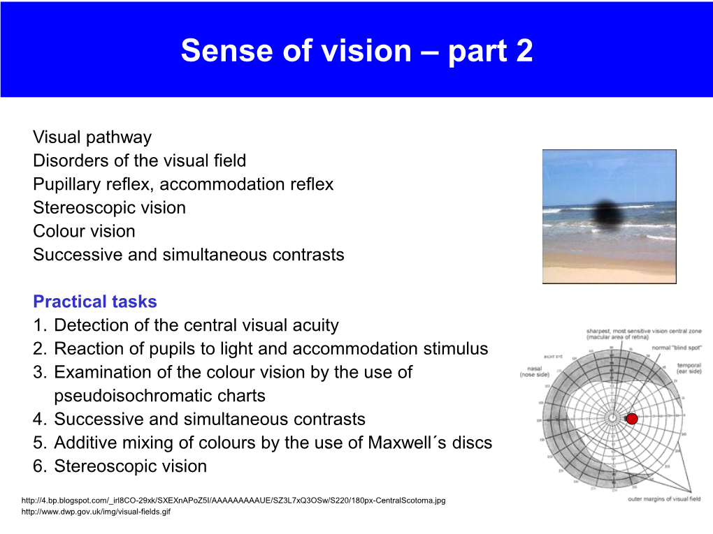 Sense of Vision – Part 2