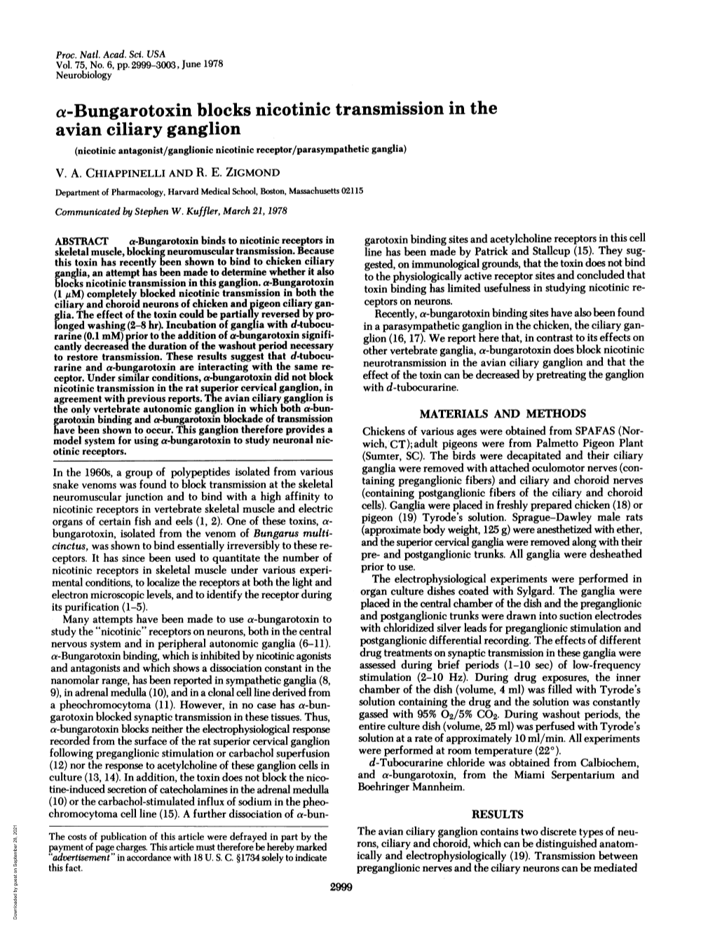 Avian Ciliary Ganglion (Nicotinic Antagonist/Ganglionic Nicotinic Receptor/Parasympathetic Ganglia) V