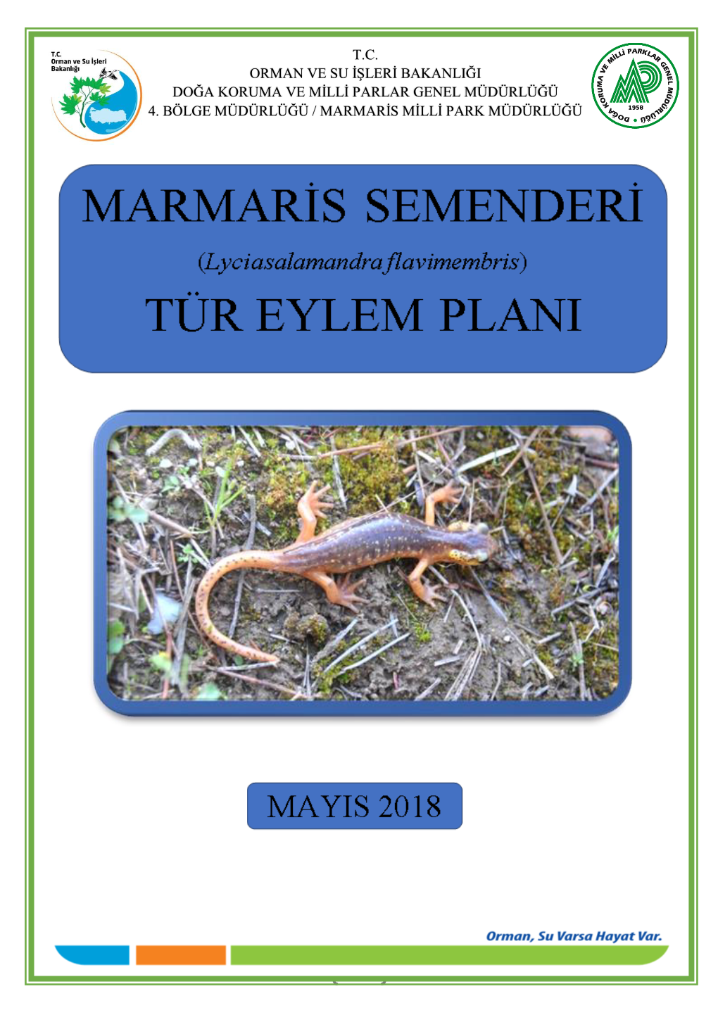 Marmaris Semenderi Tür Eylem Planı Çalışmaları, Muğla Il Ve Ilçelerinde (Kötekli Mahallesi, Ula, Marmaris) Gerçekleştirilmiştir