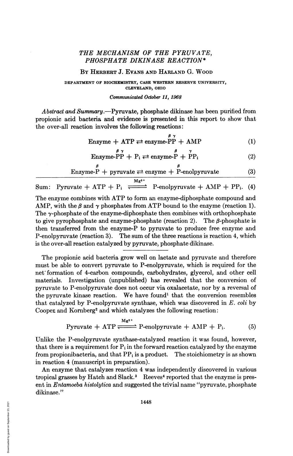 Enzyme-PP + Pi T± Enzyme-P + Ppi Pyruvate + ATP I P