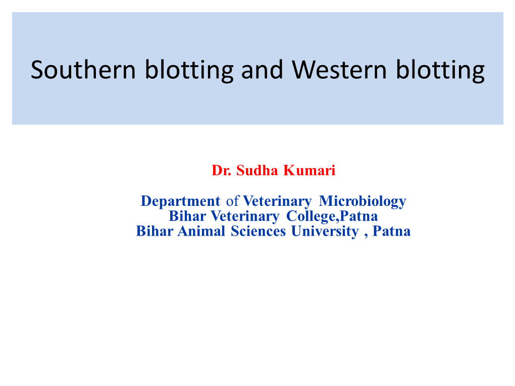 Southern Blotting and Western Blotting