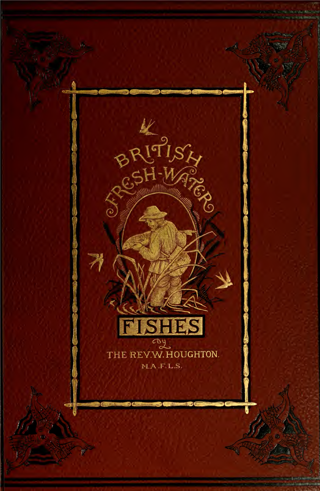 British Fresh-Water Fishes 1879 Vol 2