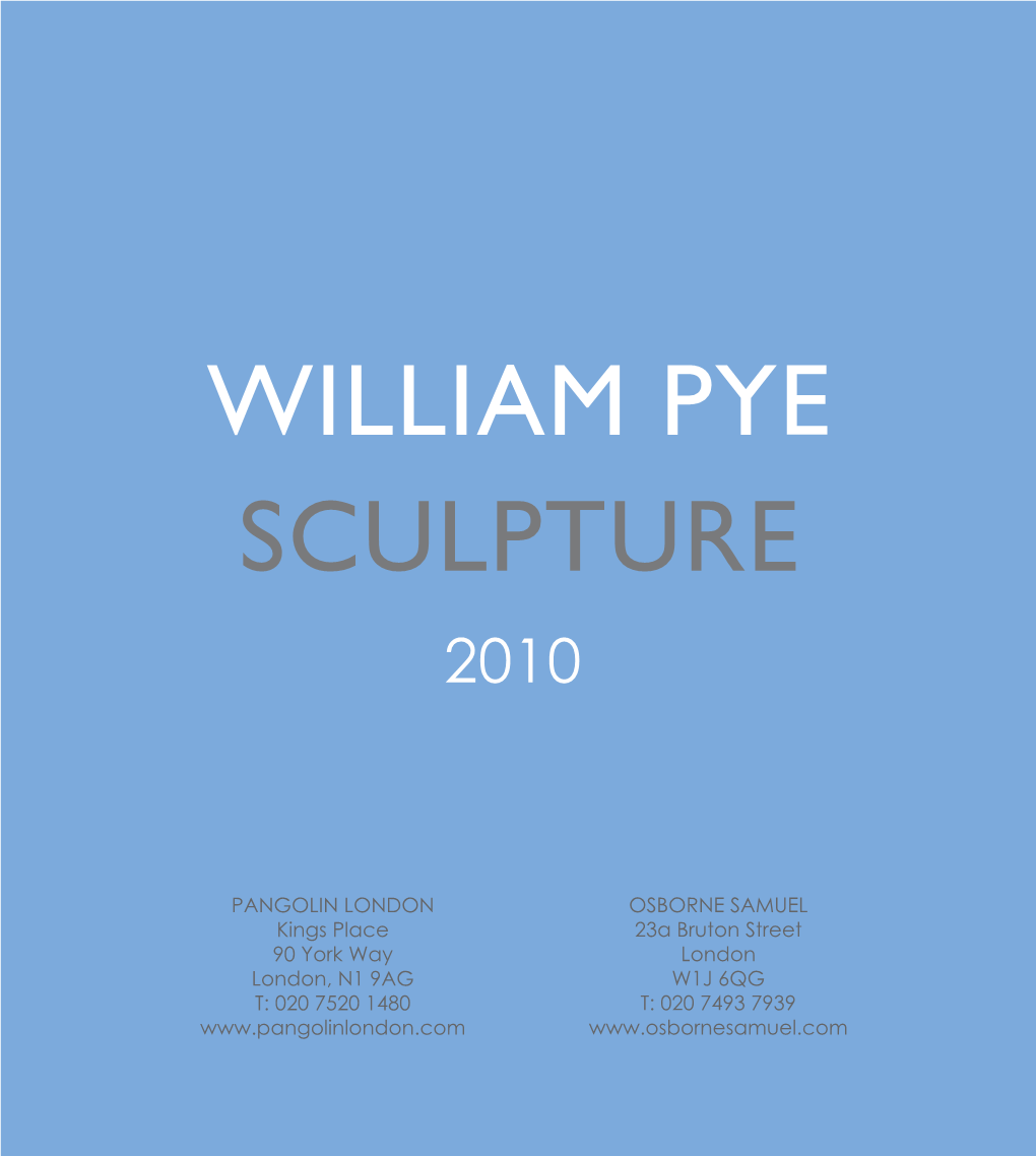 William Pye Sculpture 2010