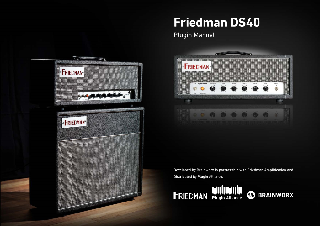 Friedman DS40 Plugin Manual