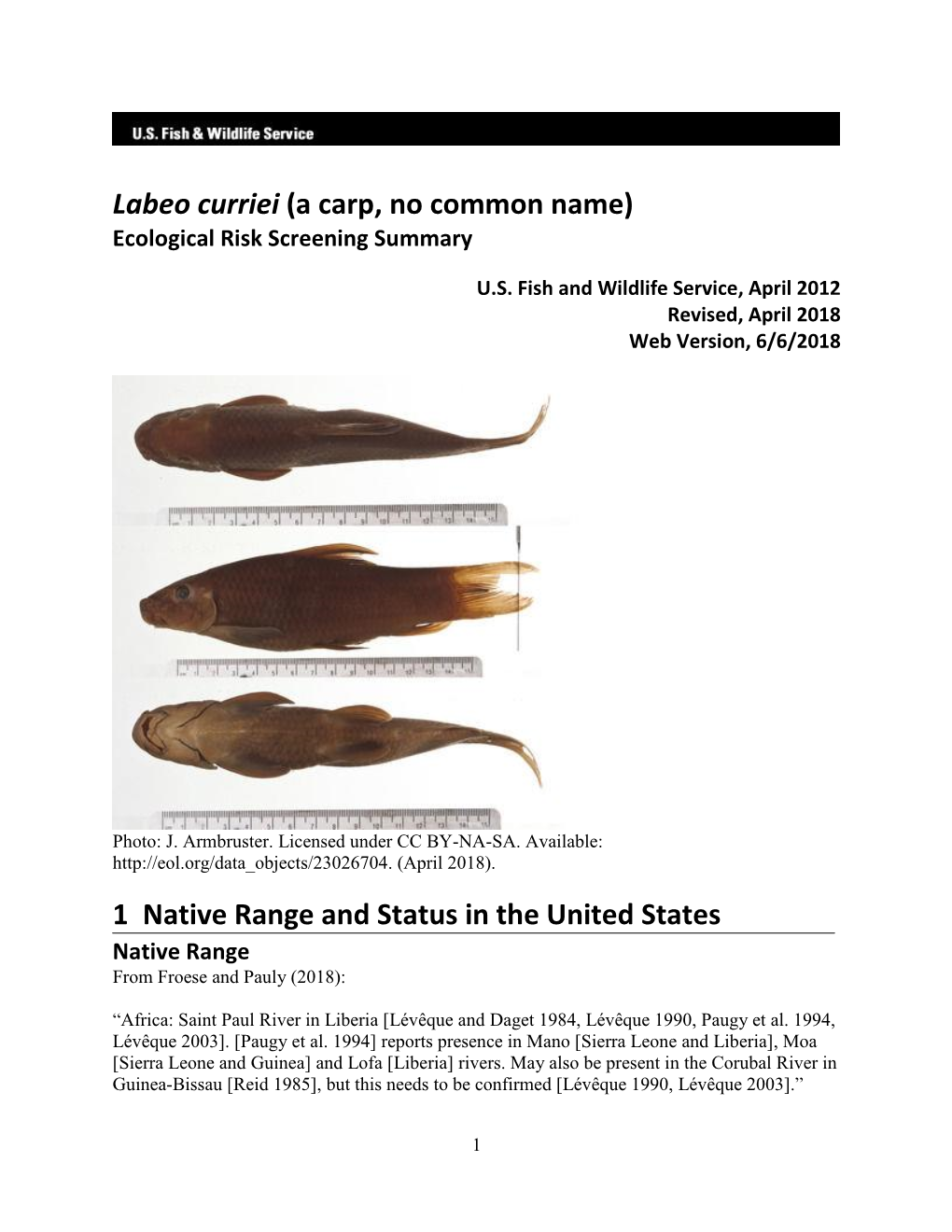 Labeo Curriei (A Carp, No Common Name) Ecological Risk Screening Summary