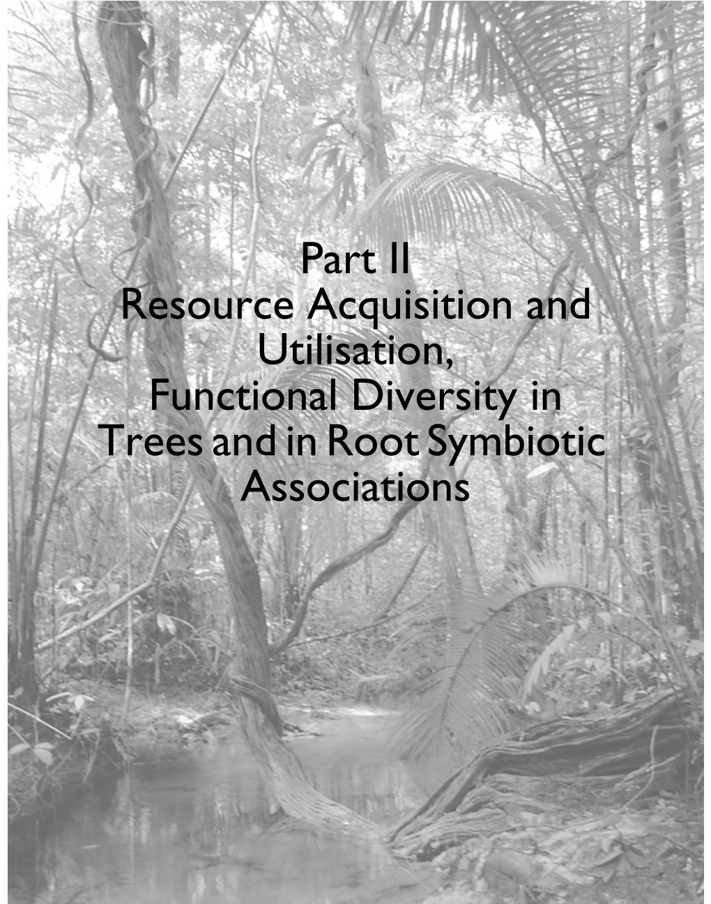 Part II Resource Acquisition and Utilisation, Functional Diversity in Trees and in Root Symbiotic Associations