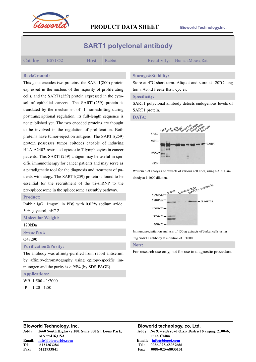 SART1 Polyclonal Antibody