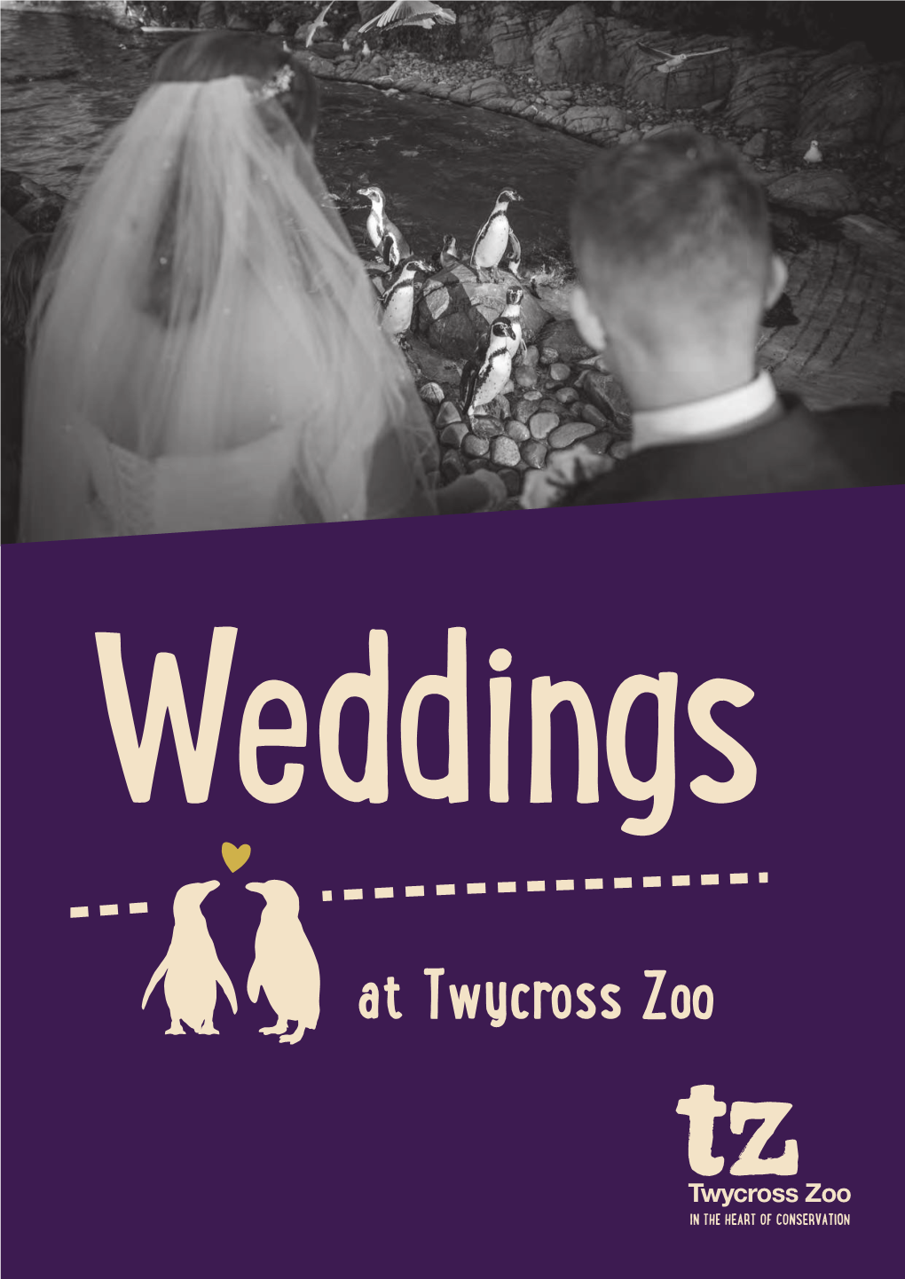 Wedding Brochure