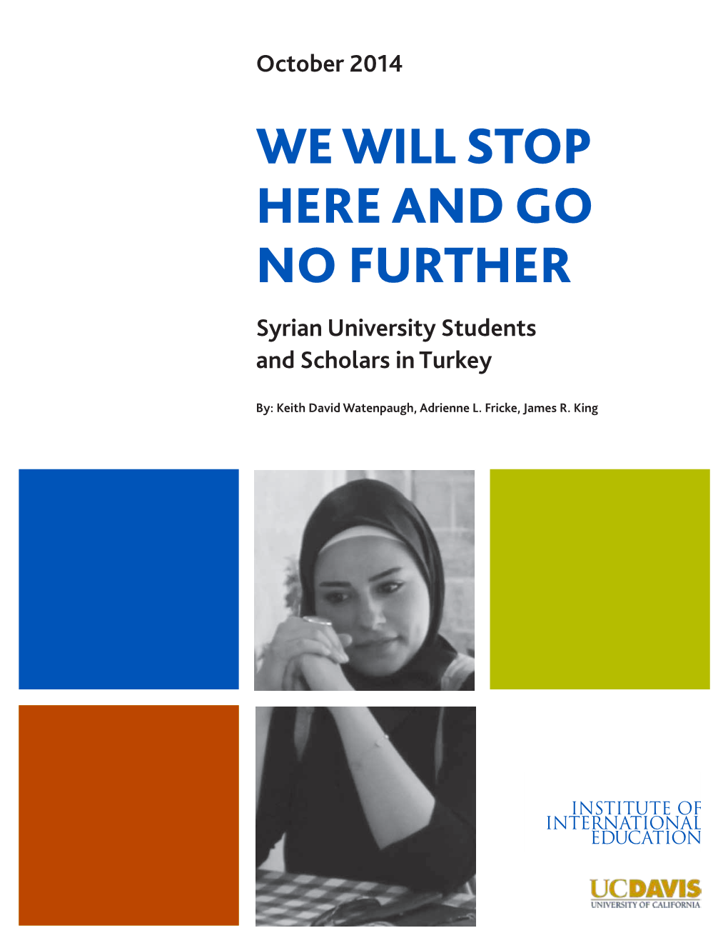 We Will Stop Here and Go No Further: Syrian University Students and Scholars in Turkey | IIE | UCD-HRI