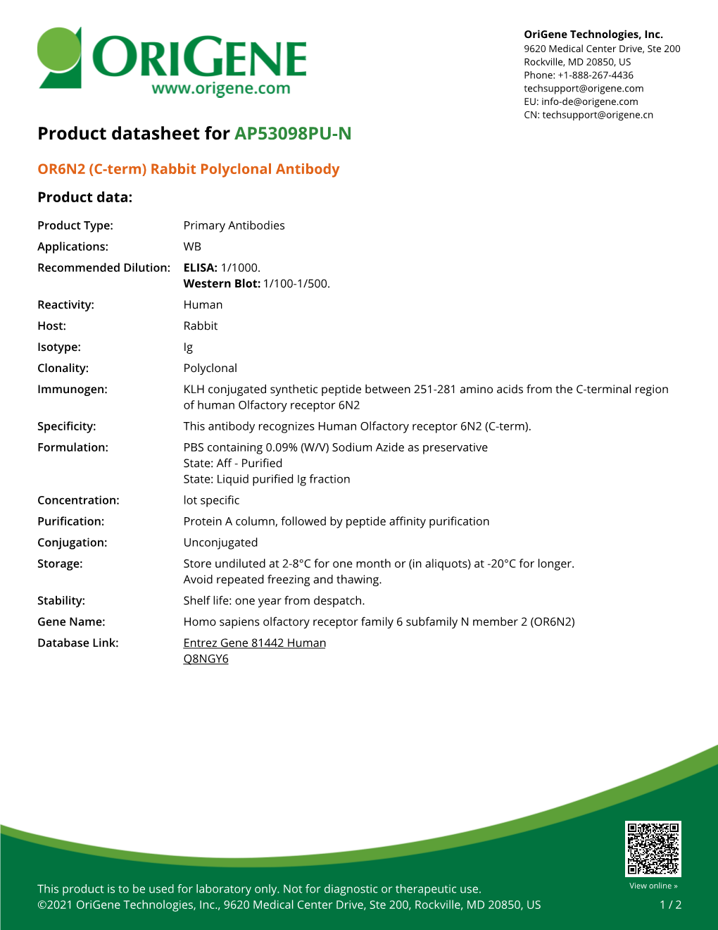 OR6N2 (C-Term) Rabbit Polyclonal Antibody – AP53098PU-N