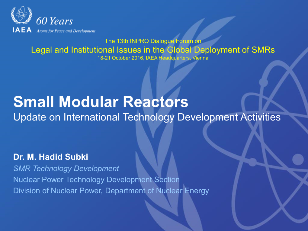 Small Modular Reactors Update on International Technology Development Activities