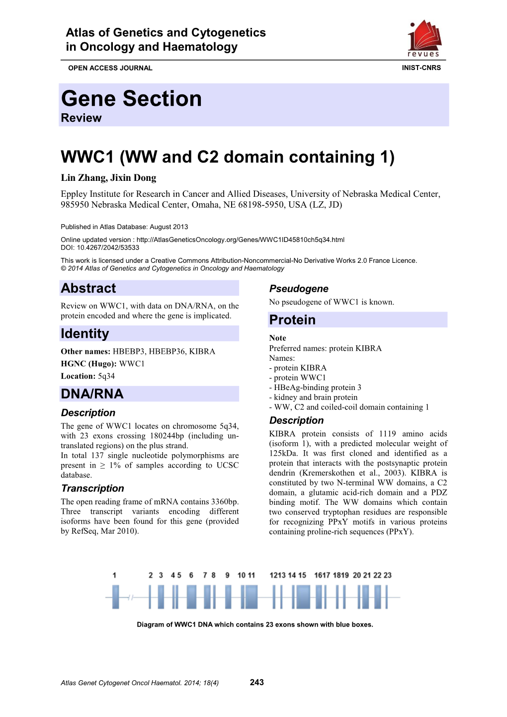 Gene Section Review