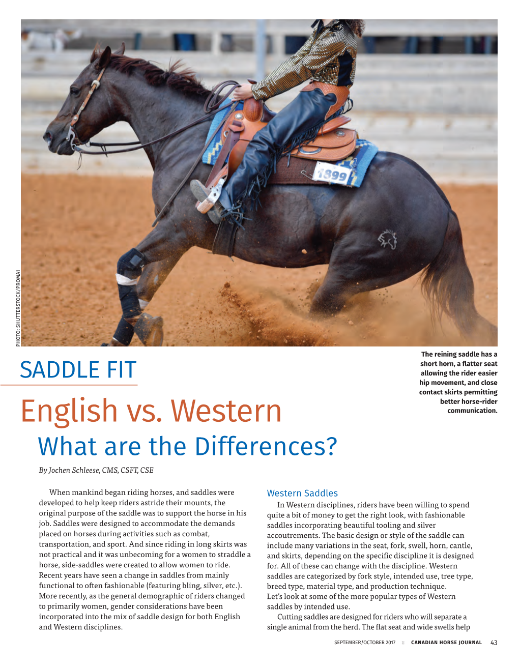 Saddle Fit: English Vs. Western – What Are the Differences?