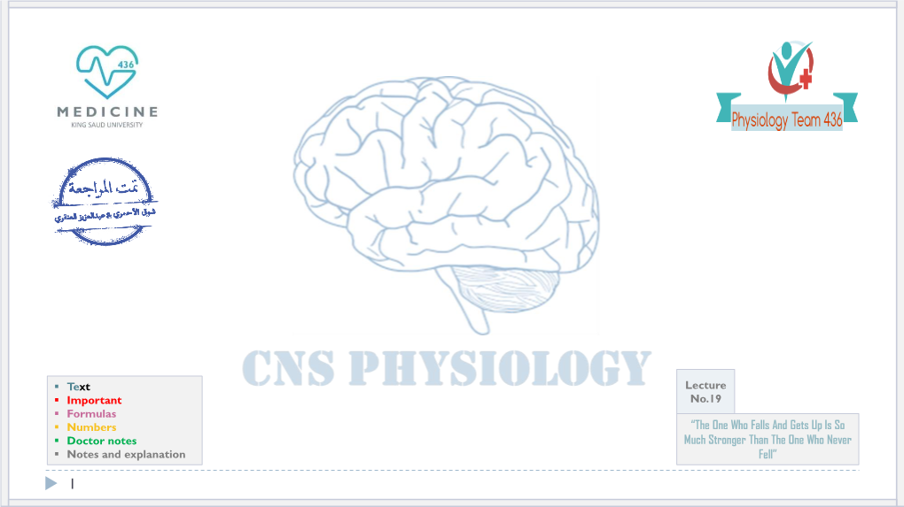 19-Functions of Cerebral Hemisphere.Pdf