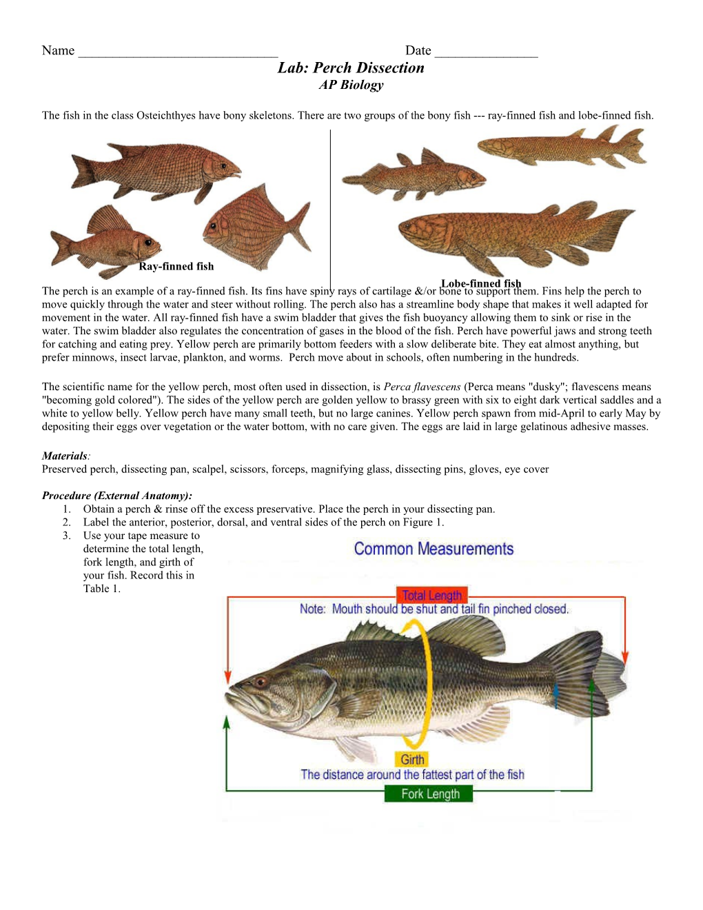 Lab: Perch Dissection