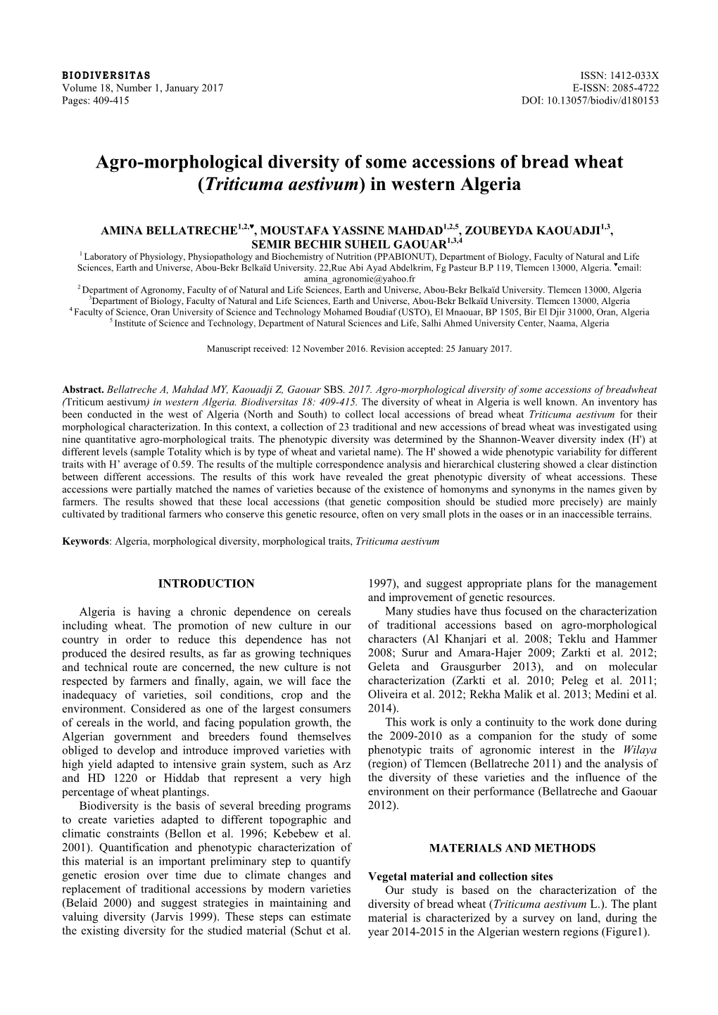 Agro-Morphological Diversity of Some Accessions of Bread Wheat (Triticuma Aestivum) in Western Algeria