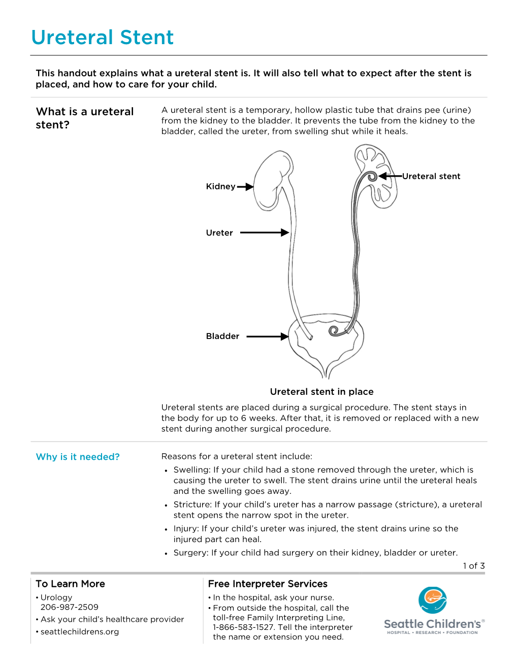 PE1949 Ureteral Stent