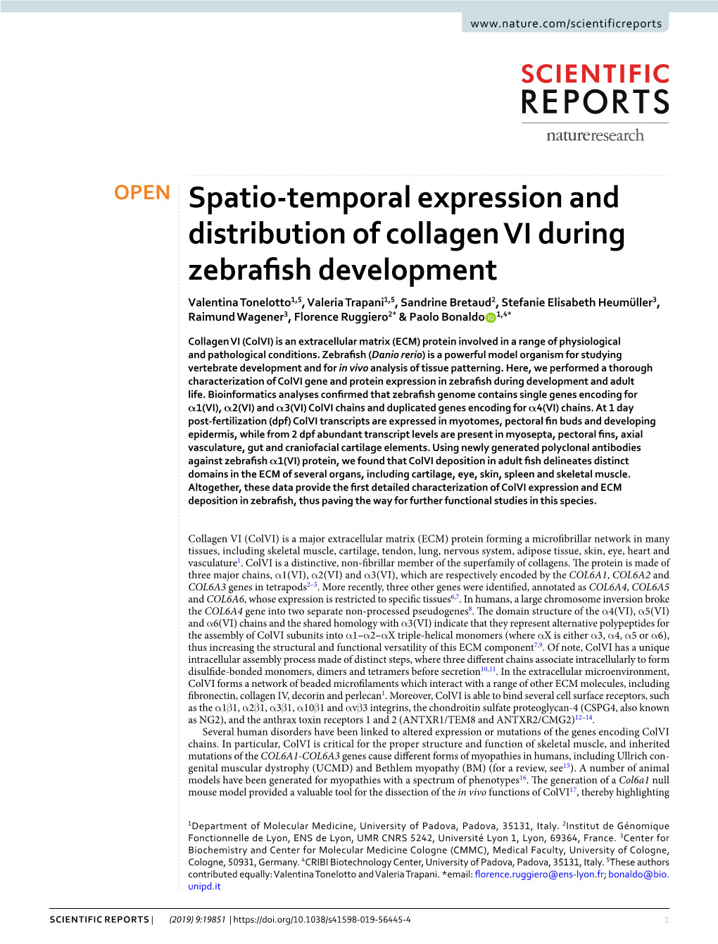 Spatio-Temporal Expression and Distribution of Collagen VI During