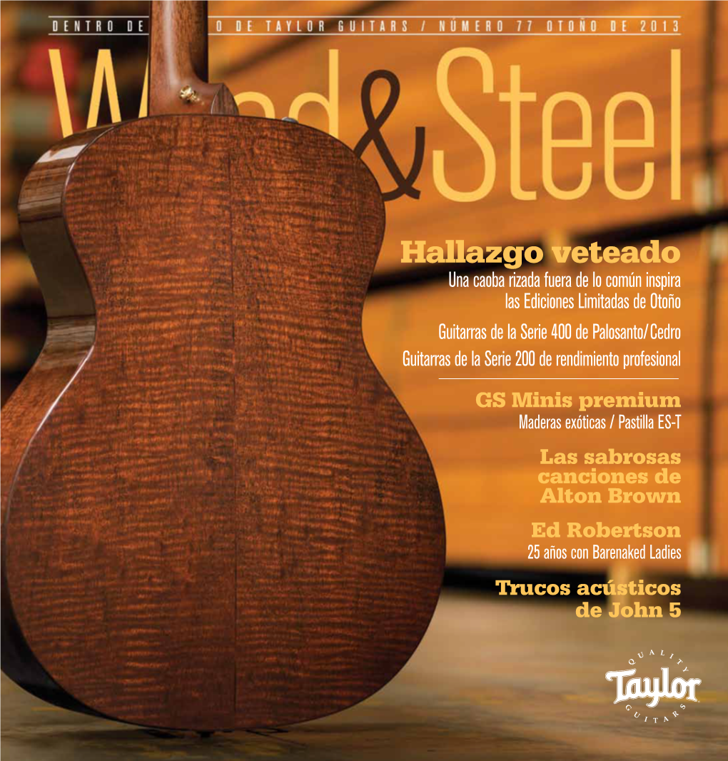 Dentro Del Mundo De Taylor Guitars