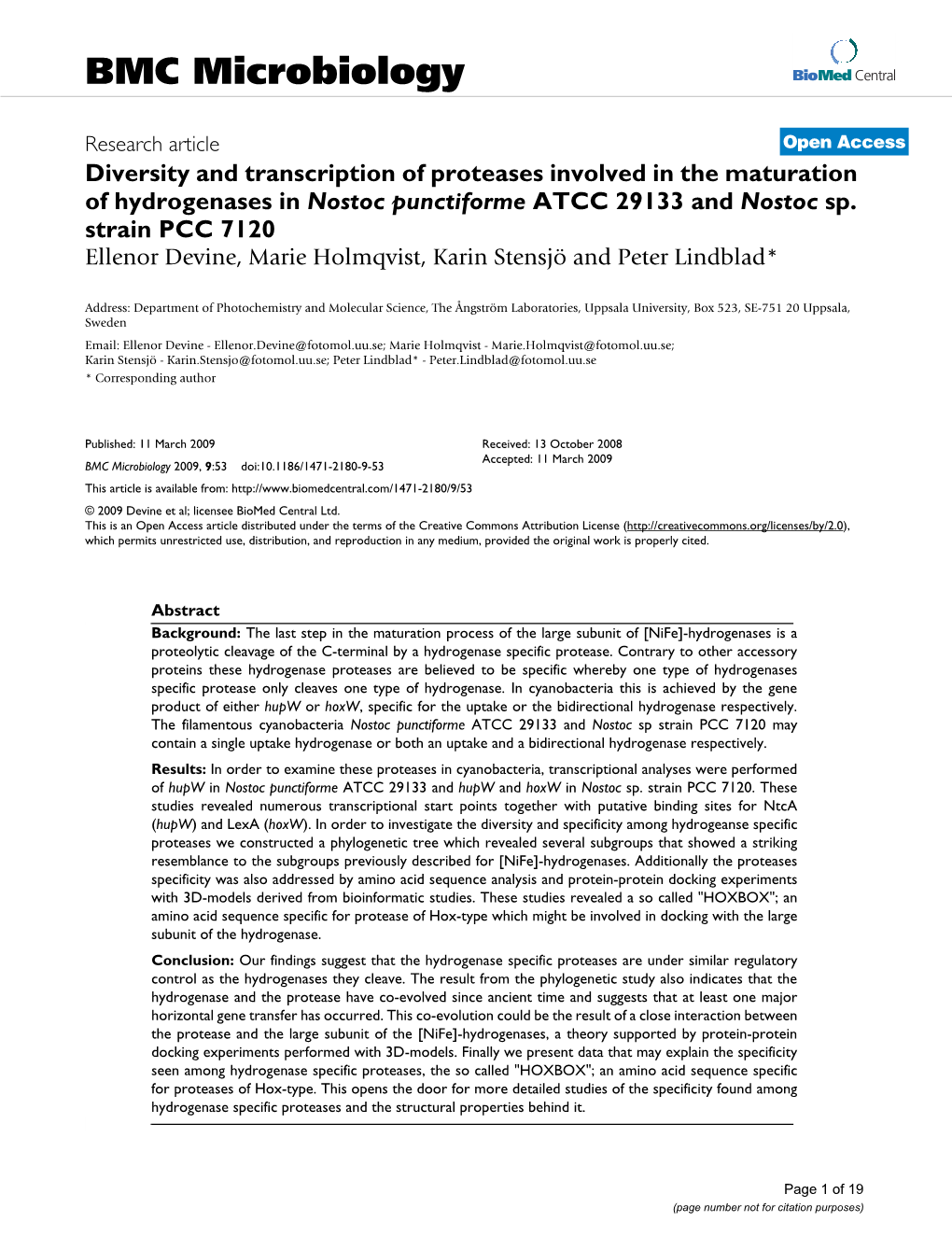 Diversity and Transcription of Proteases Involved in the Maturation of Hydrogenases in Nostoc Punctiforme ATCC 29133 and Nostoc Sp
