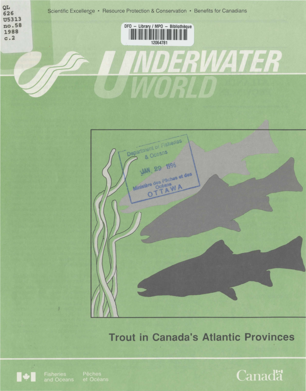 Trout in Canada's Atlantic Provinces 2 Underwater World