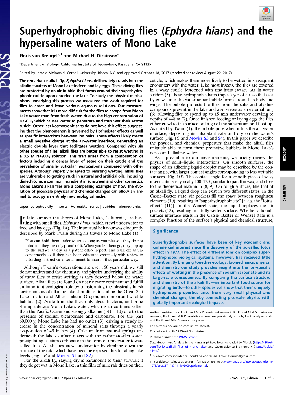 Superhydrophobic Diving Flies (Ephydra Hians) and the Hypersaline Waters of Mono Lake