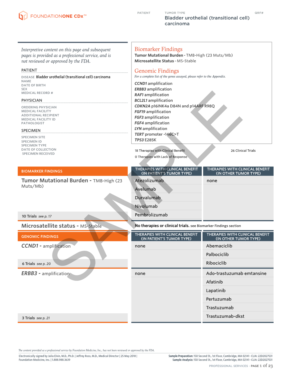 Foundationone Cdx Sample Report