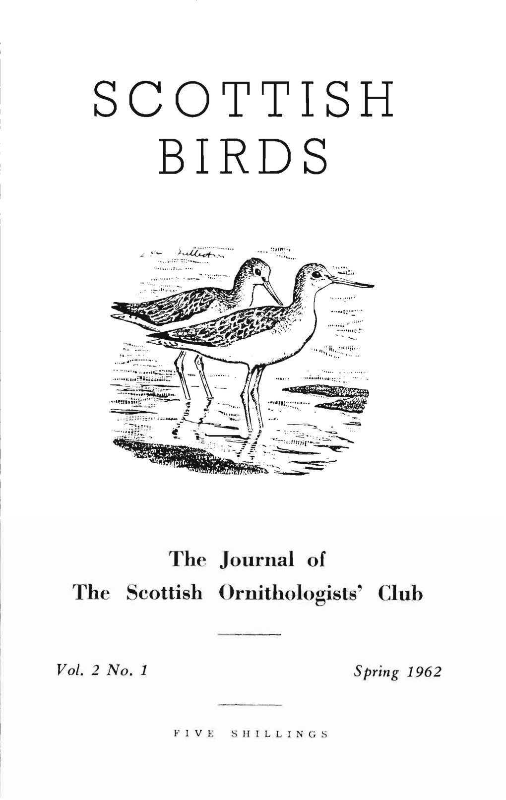 Scottish Birds