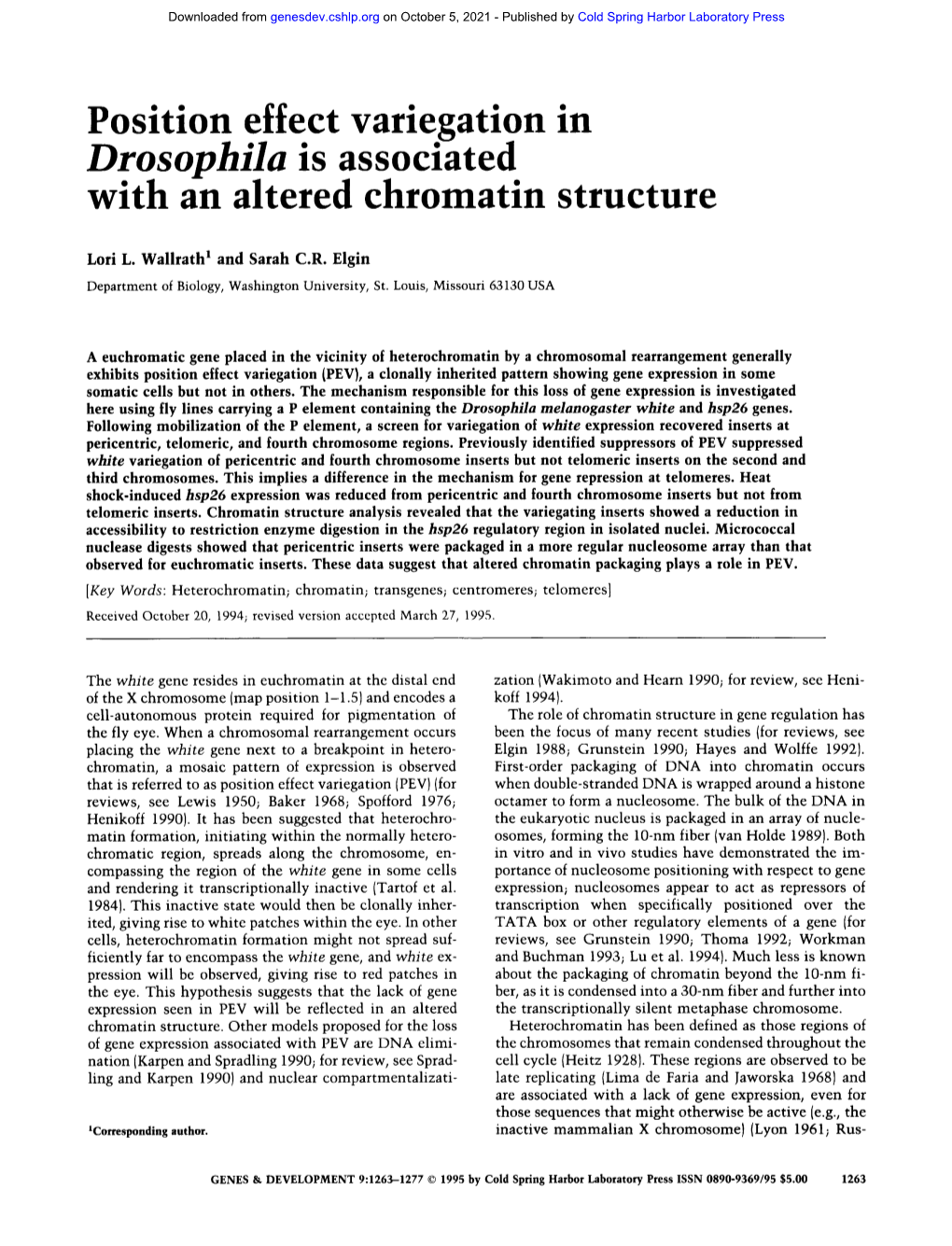 Position Effect Variegation in Drosophila Is Associated with an Altered Chromatin Structure