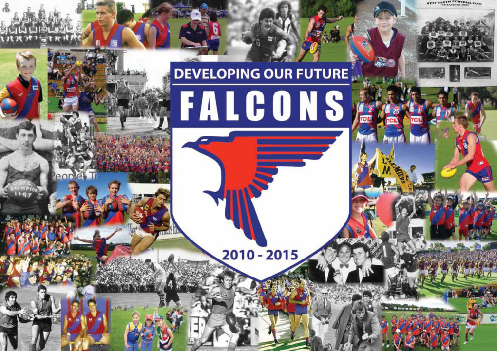 Falcons Talent Pathway Vision