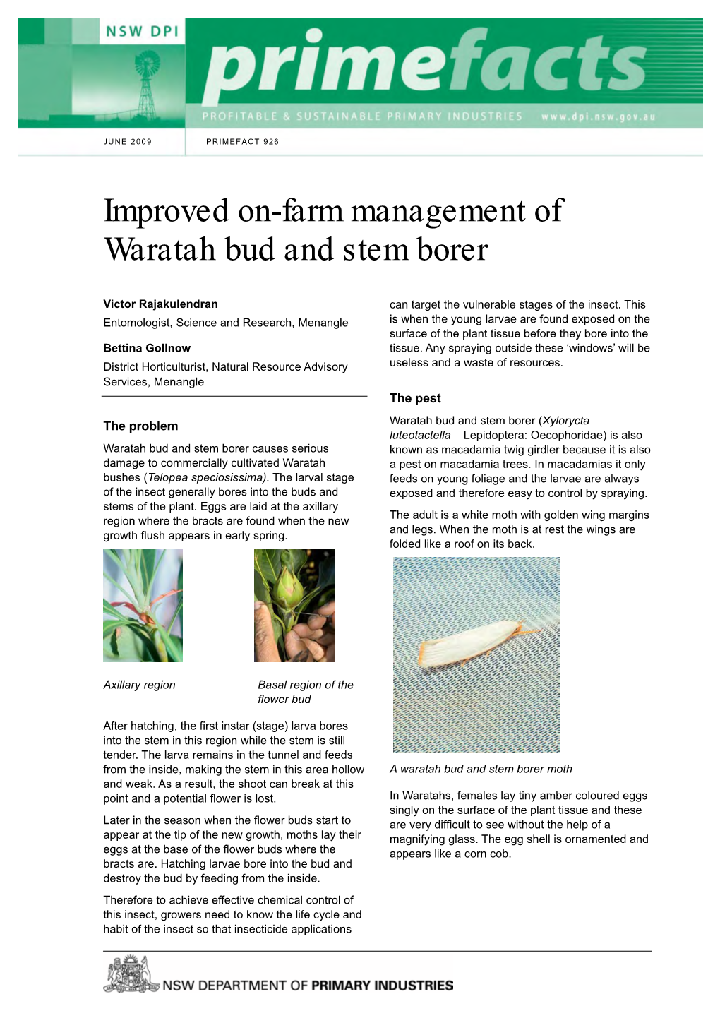 Improved On-Farm Management of Waratah Bud and Stem Borer