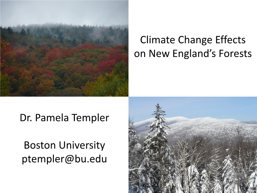 Dr. Pamela Templer Boston University Ptempler@Bu.Edu Climate Change Effects on New England's Forests