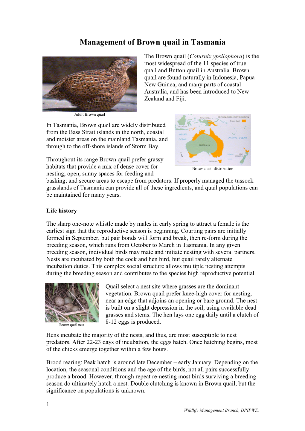 Management of Brown Quail in Tasmania