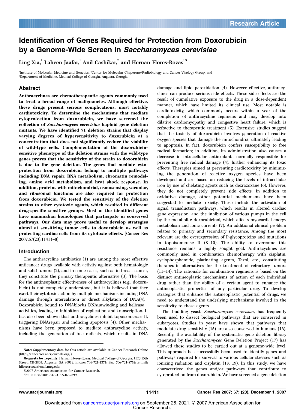 Identification of Genes Required for Protection from Doxorubicin by a Genome-Wide Screen in Saccharomyces Cerevisiae