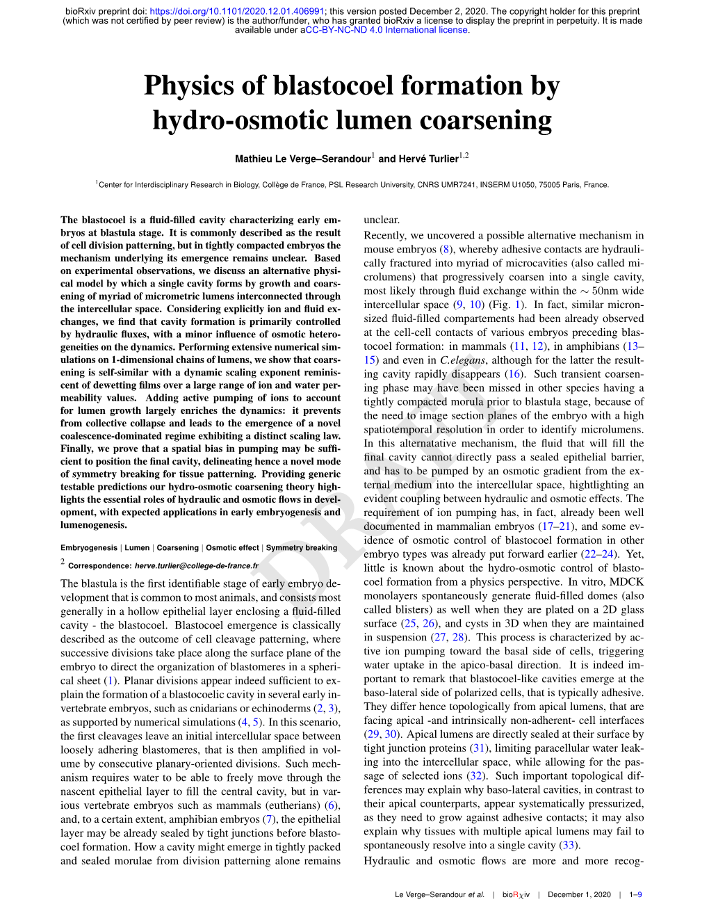 Physics of Blastocoel Formation by Hydro-Osmotic Lumen Coarsening