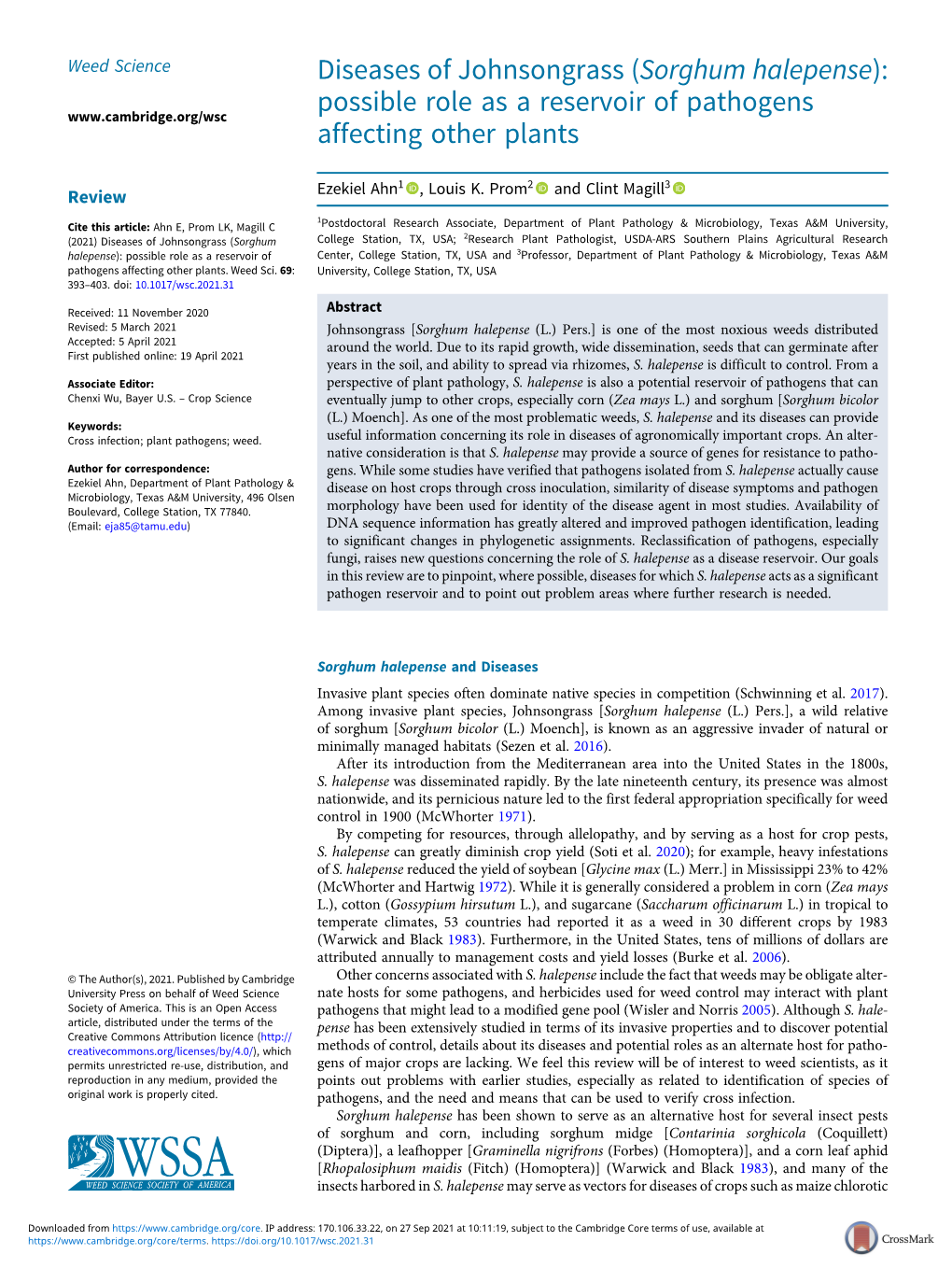 (Sorghum Halepense): Possible Role As a Reservoir of Pathogens