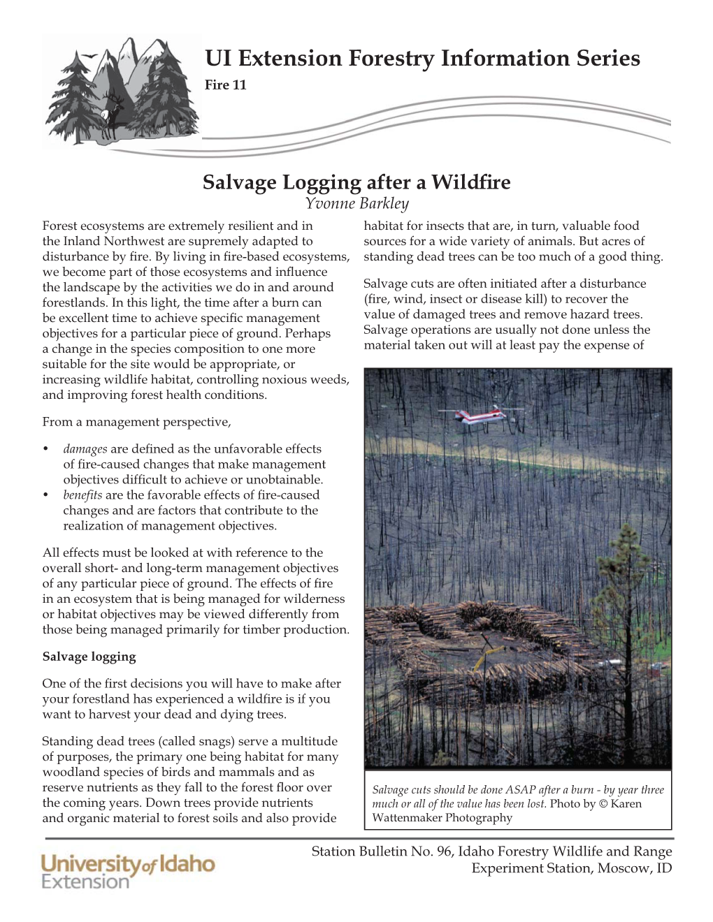 Salvage Logging