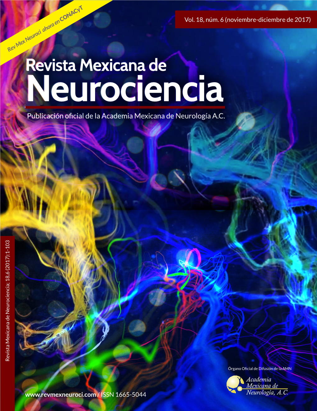 Recommendations for the Diagnosis and Treatment of Chronic Inflammatory Demyelinating Polyneuropathy