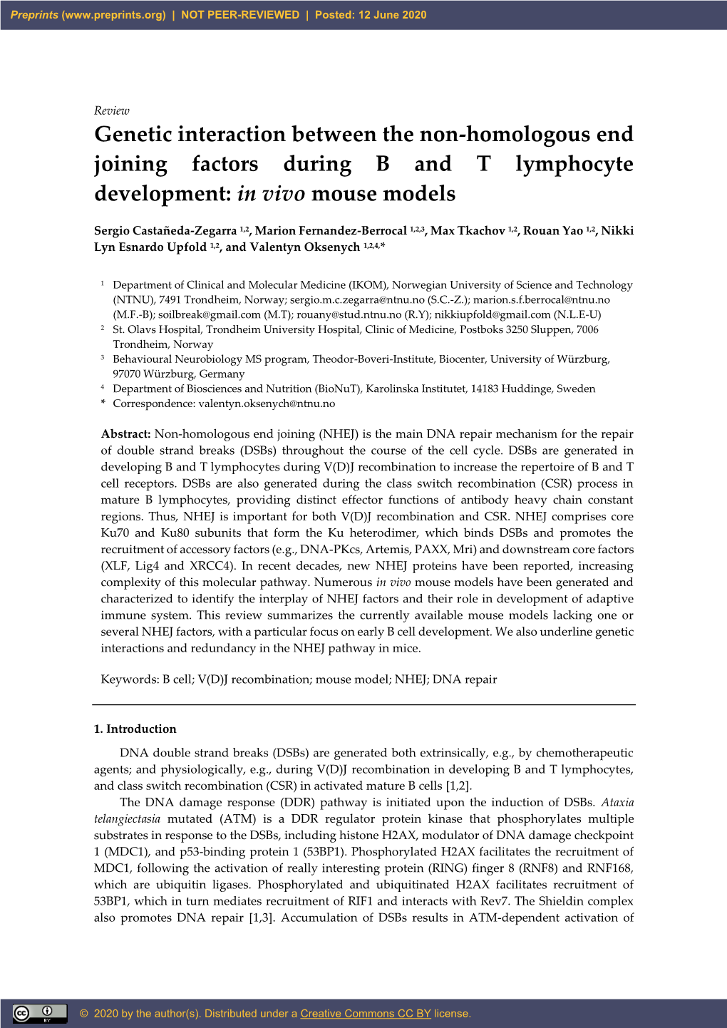 Genetic Interaction Between the Non-Homologous End Joining Factors During B and T Lymphocyte Development: in Vivo Mouse Models