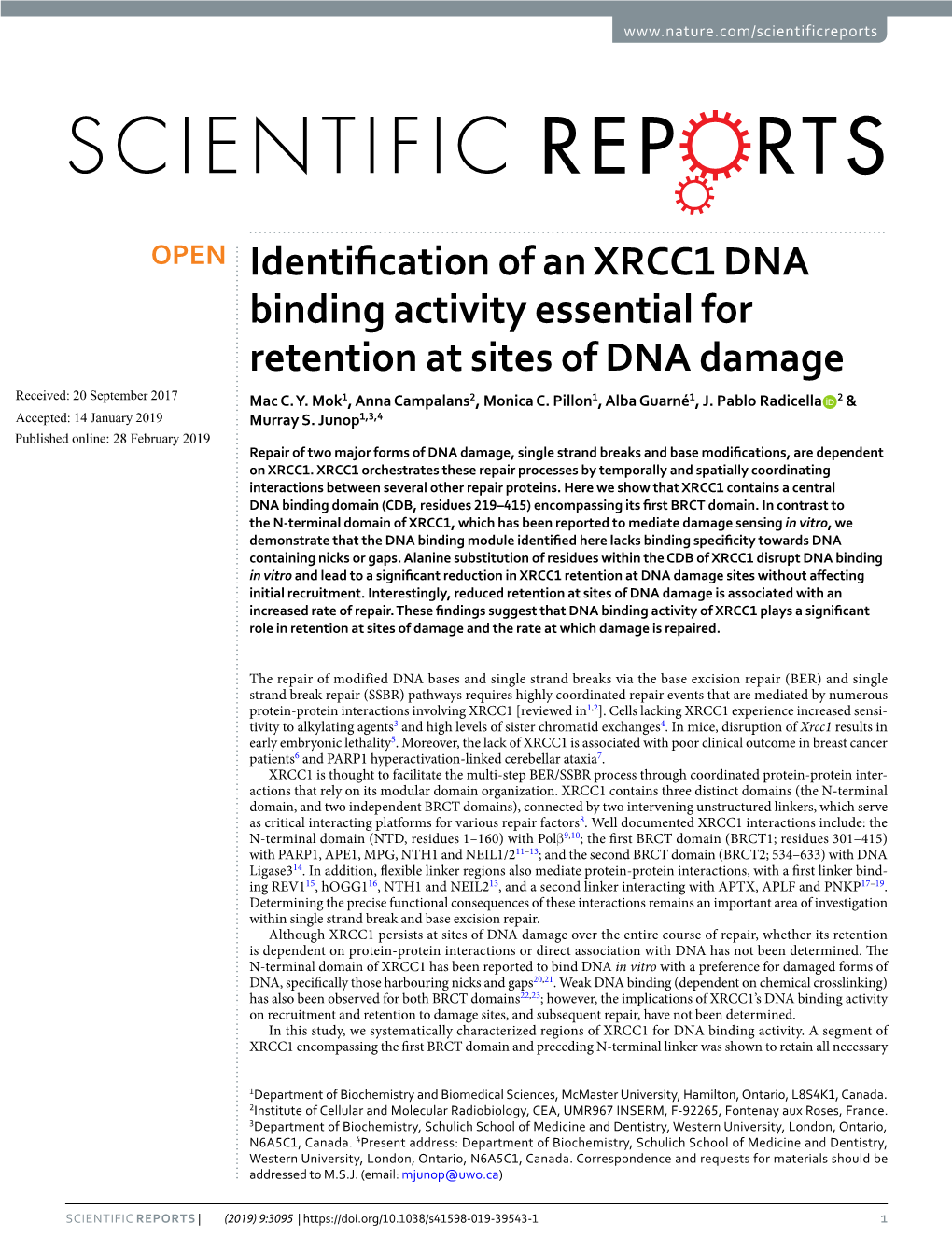 Identification of an XRCC1 DNA Binding Activity Essential For