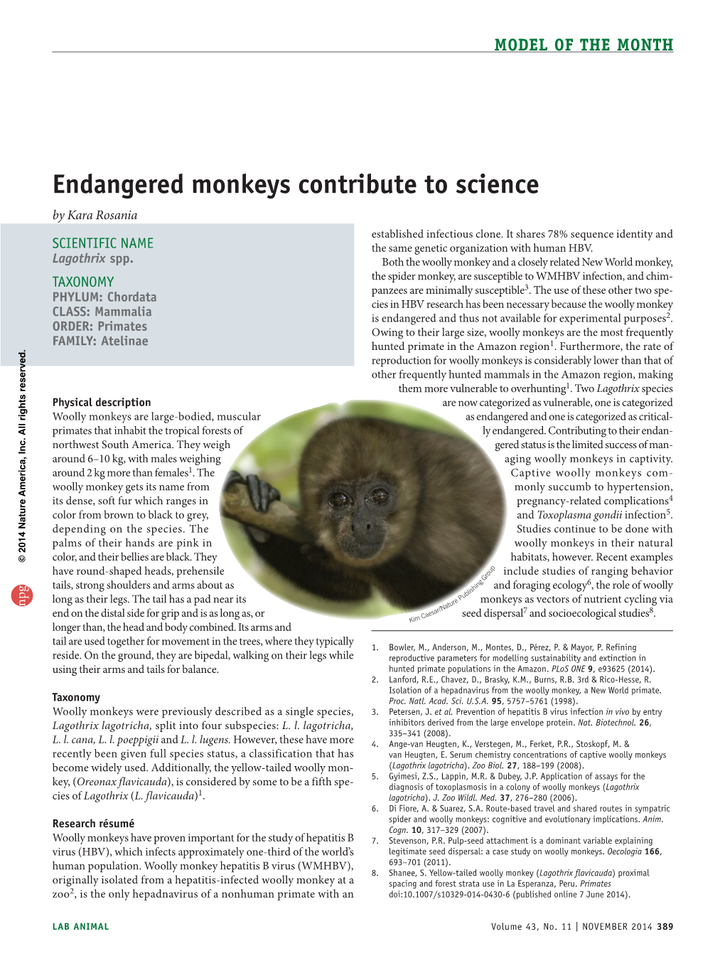 Endangered Monkeys Contribute to Science by Kara Rosania Established Infectious Clone