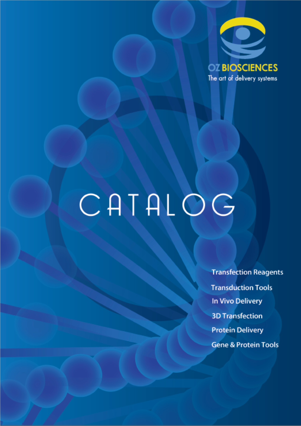 Transfection Reagents Or Virus with Specific Cationic Magnetic Nanoparticles