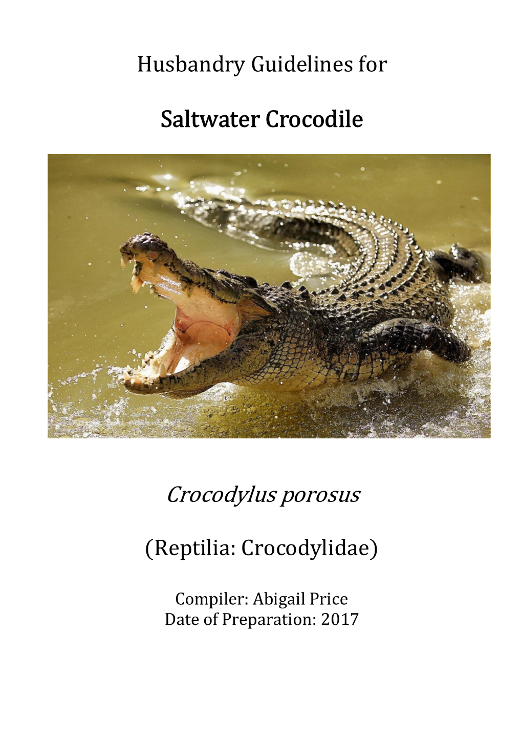 Saltwater Crocodile Crocodylus Porosus