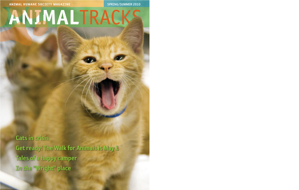 Cats in Crisis Get Ready! the Walk for Animals Is May 1 Tales of a Happy Camper in the 